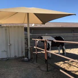 Single Post Shade Canopies residential